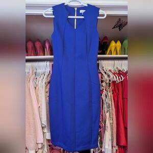 Calvin Klein Royal Blue Sheath Dress